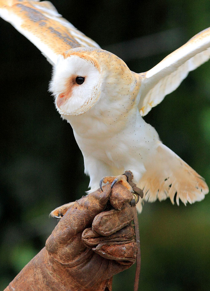 200mm 1/640sec f5.6 -1/3 stop (ISO 800)