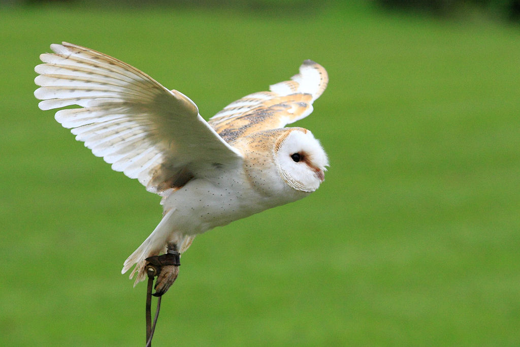 200mm 1/1600sec f5.6 -1/3 stop (ISO 800)