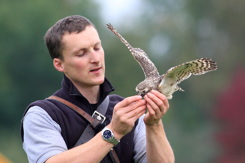 200mm 1/1600sec f2.8  (ISO 400)