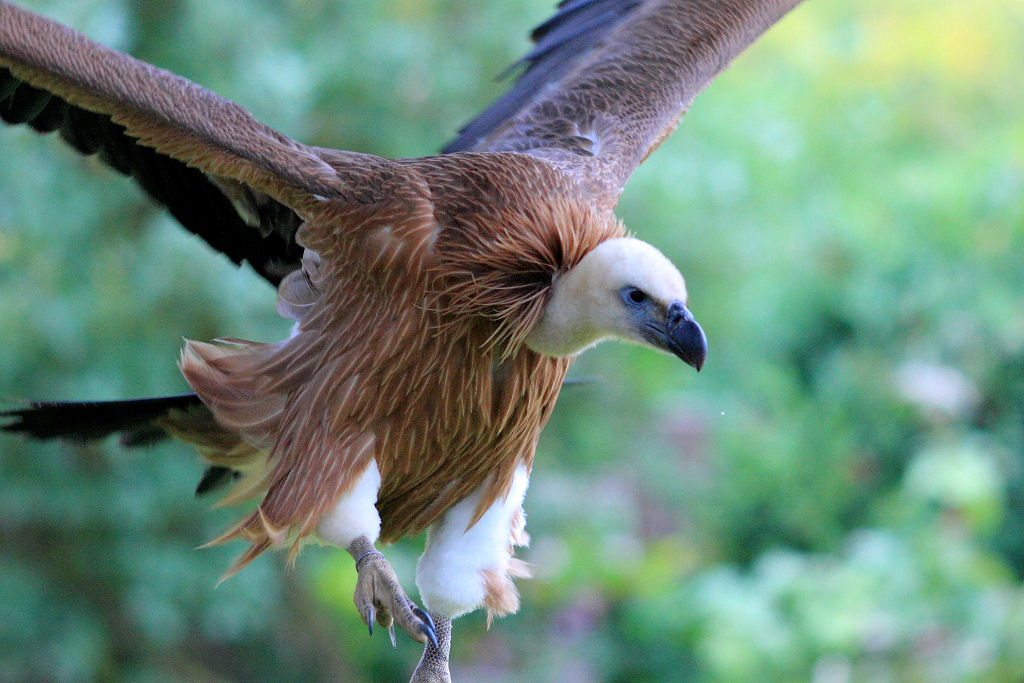 200mm 1/640sec f2.8 -1/3 stop (ISO 800)