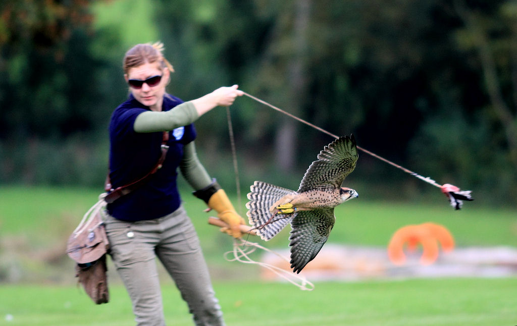 200mm 1/1600sec f2.8  (ISO 400)