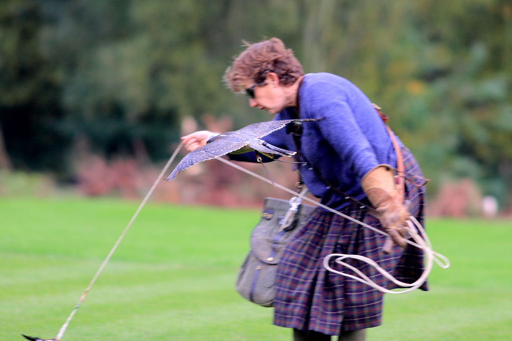 200mm 1/800sec f2.8 +2/3 stop (ISO 400)