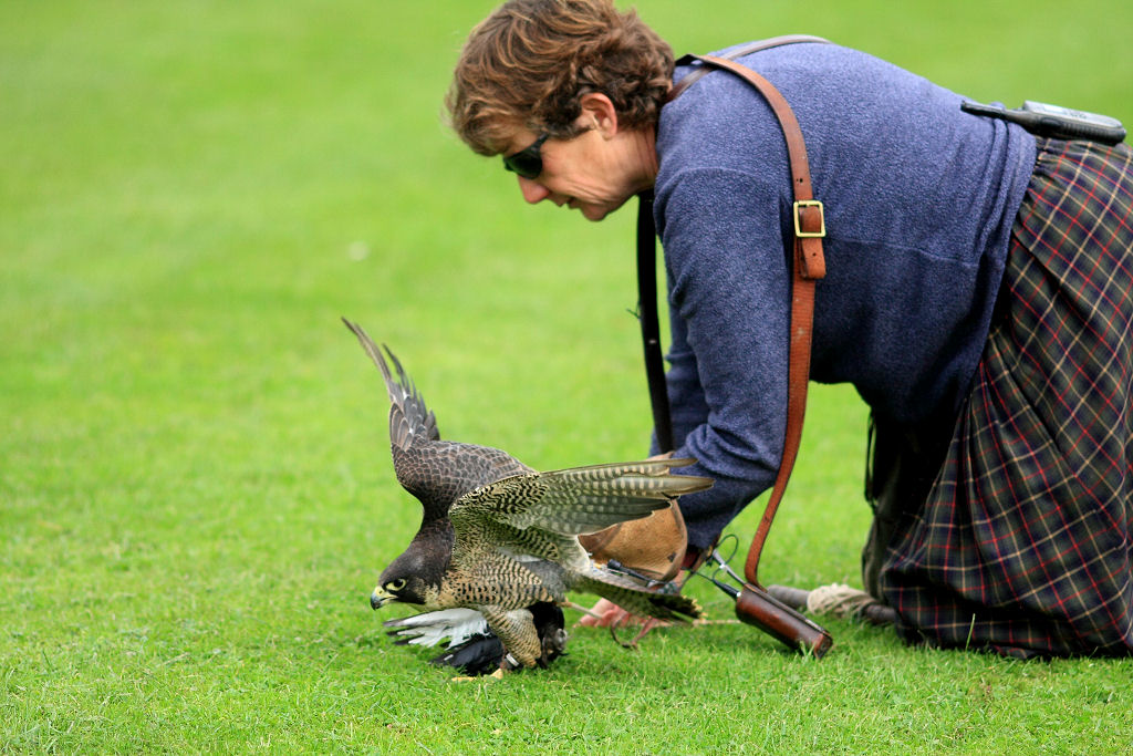 200mm 1/2000sec f2.8  (ISO 400)