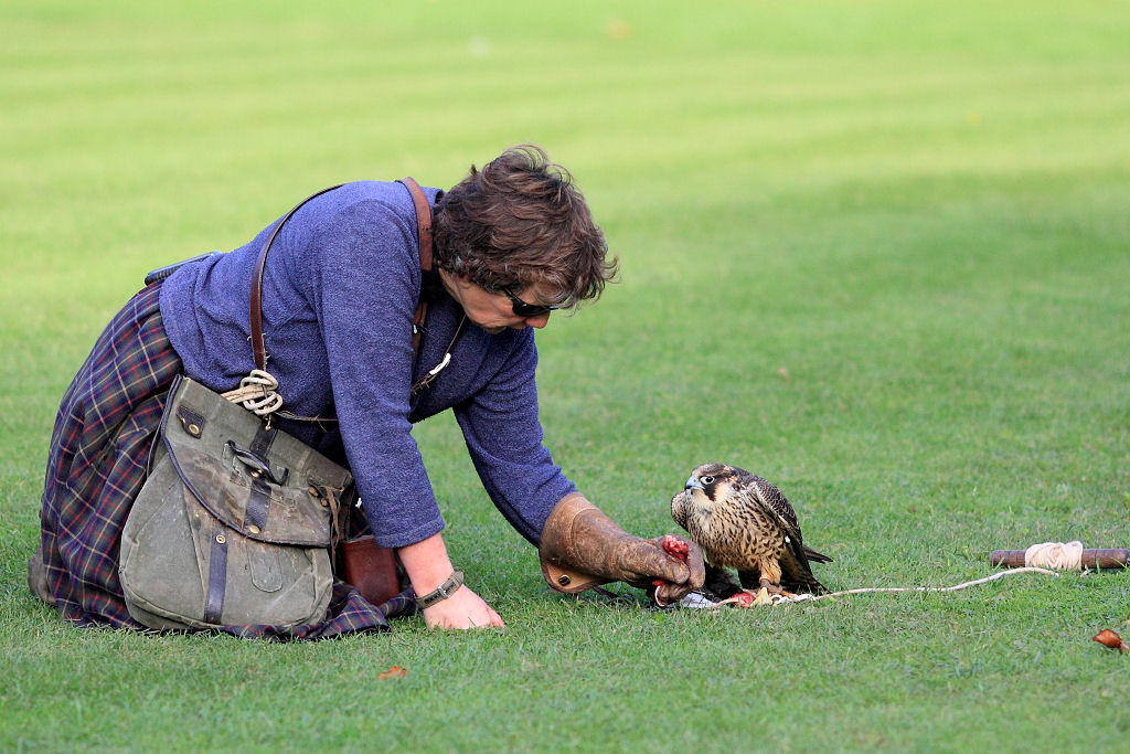 200mm 1/2500sec f2.8  (ISO 400)