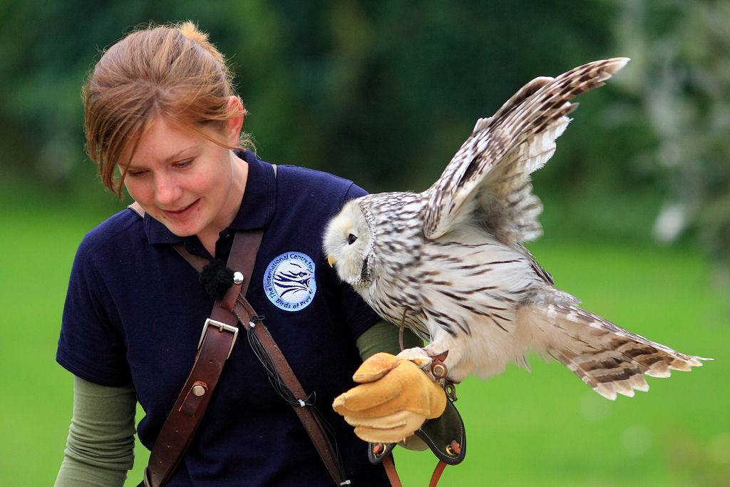 200mm 1/1000sec f2.8 -1/3 stop (ISO 400)