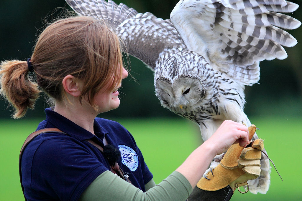 200mm 1/1600sec f2.8 -1/3 stop (ISO 400)