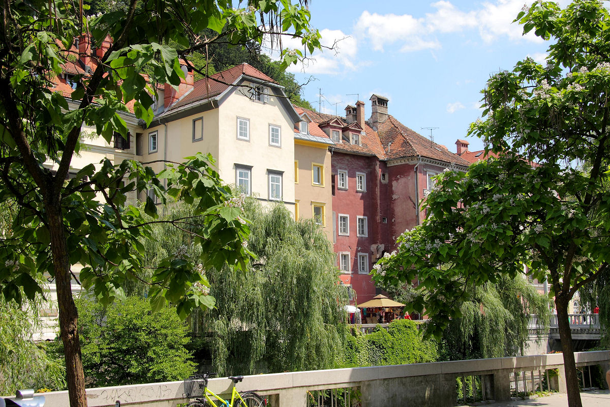 33mm 1/125sec f10 -1/3 stop (ISO 100)