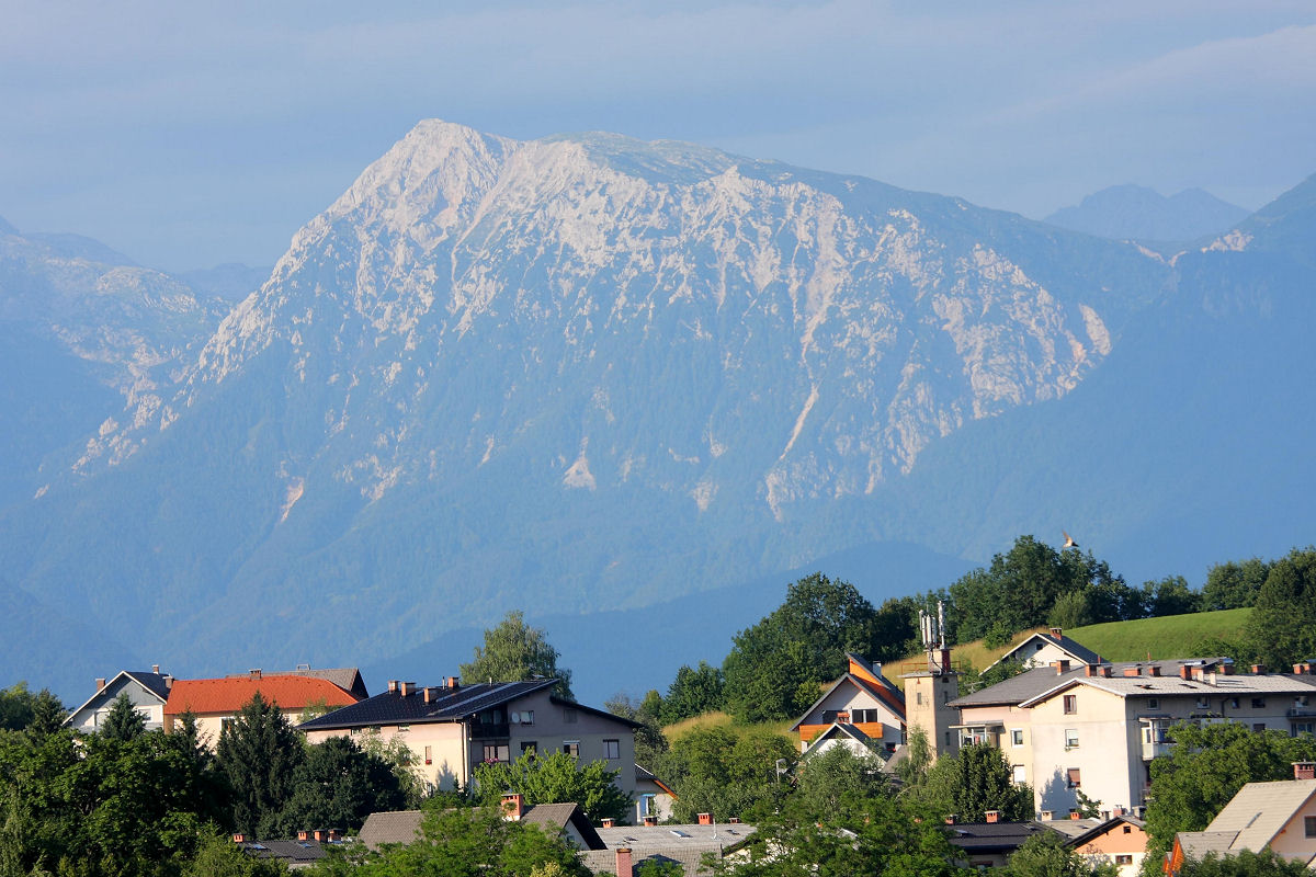 185mm 1/400sec f8 -2/3 stop (ISO 100)