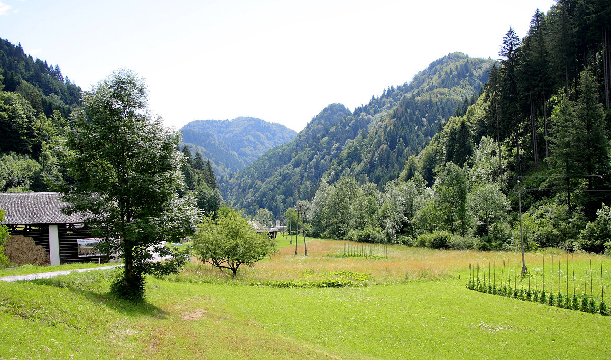 24mm 1/100sec f7.1  (ISO 100)