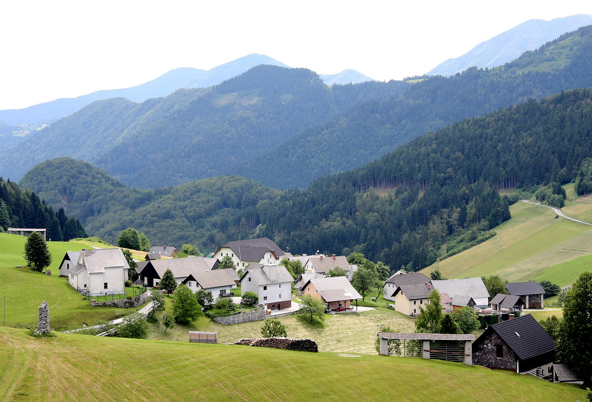 47mm 1/125sec f9  (ISO 100)