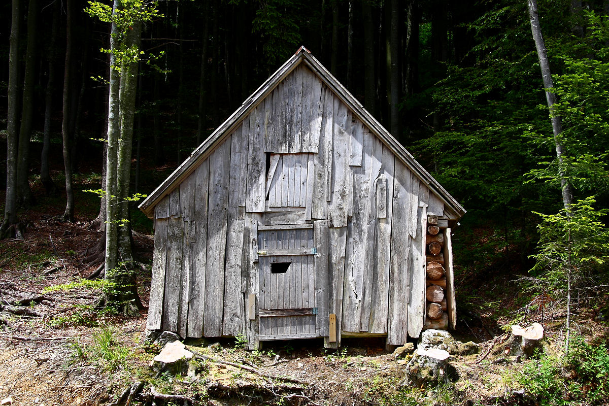 33mm 1/100sec f8 +2/3 stop (ISO 100)