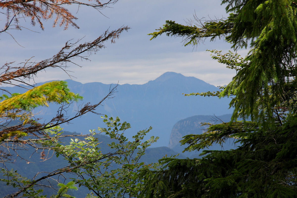 85mm 1/250sec f10 -1/3 stop (ISO 100)