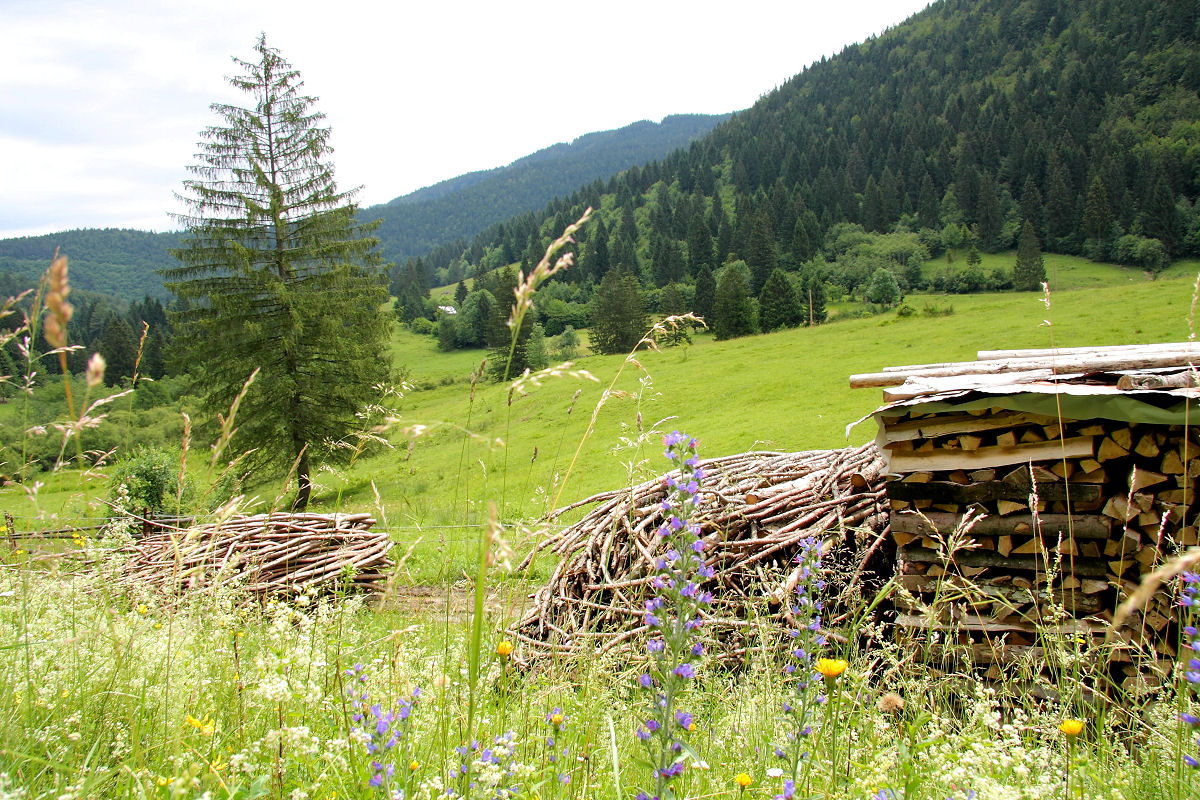 17mm 1/125sec f8 -1/3 stop (ISO 100)