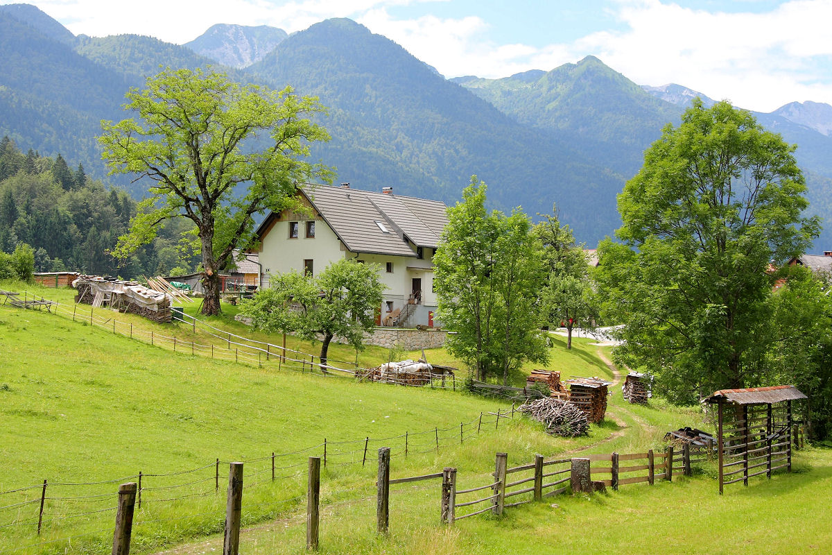 38mm 1/125sec f9 -1/3 stop (ISO 100)