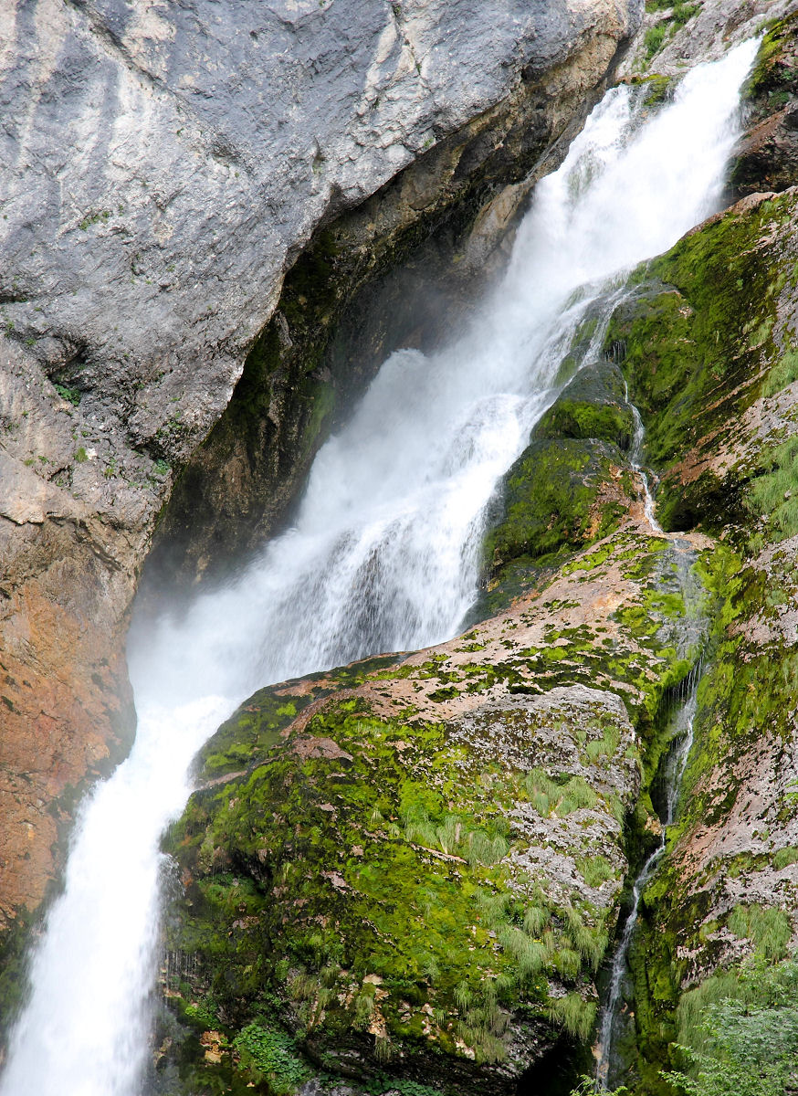 85mm 1/50sec f5.6 -1/3 stop (ISO 100)