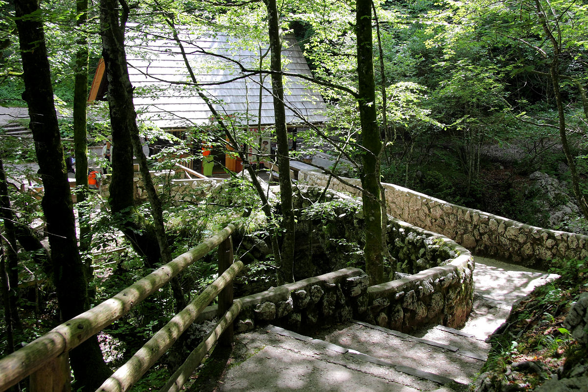 26mm 1/60sec f7.1 -1/3 stop (ISO 100)