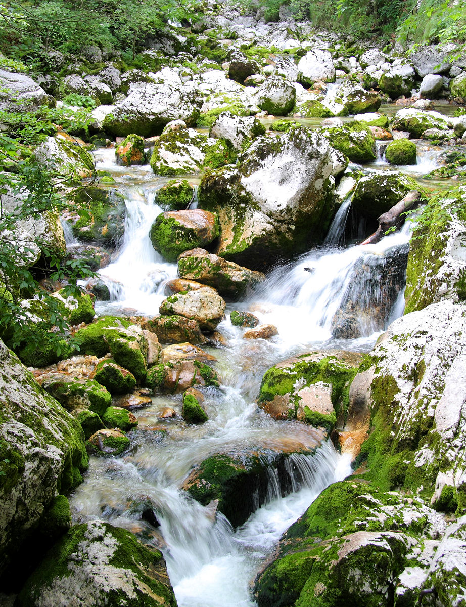 30mm 1/20sec f6.3 +2/3 stop (ISO 100)