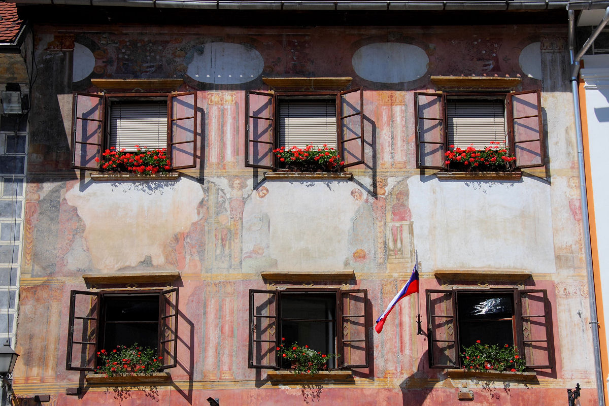 41mm 1/250sec f13  (ISO 100)