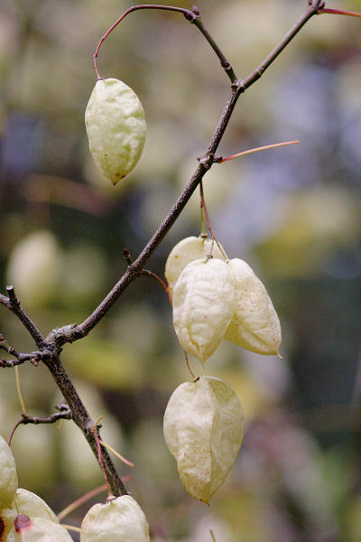 85mm 1/5000sec f2.2 -1/3 stop (ISO 800)