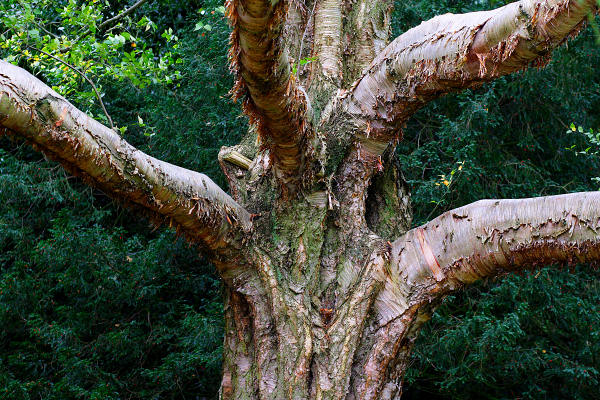 85mm 1/125sec f2.8 -2/3 stop (ISO 400)