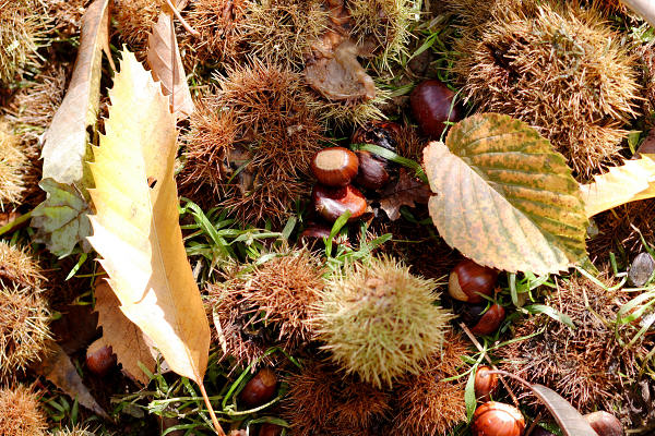 85mm 1/320sec f3.5  (ISO 200)