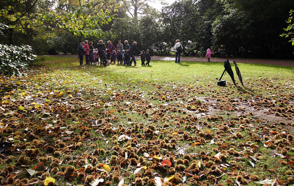 17mm 1/1000sec f4  (ISO 400)