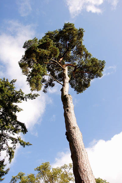 17mm 1/400sec f4 +2/3 stop (ISO 100)