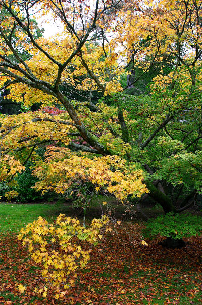 17mm 1/60sec f7.1 -1/3 stop (ISO 400)