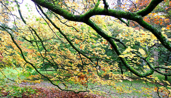 17mm 1/60sec f4 -1/3 stop (ISO 400)