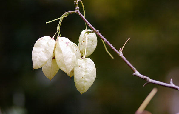 85mm 1/500sec f2.2 -1/3 stop (ISO 200)