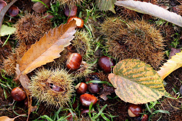 85mm 1/800sec f2.5  (ISO 400)