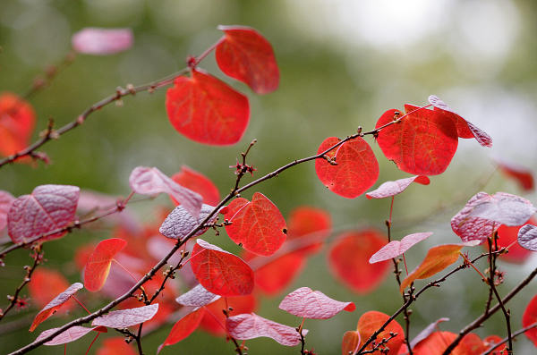 200mm 1/800sec f2.8  (ISO 400)