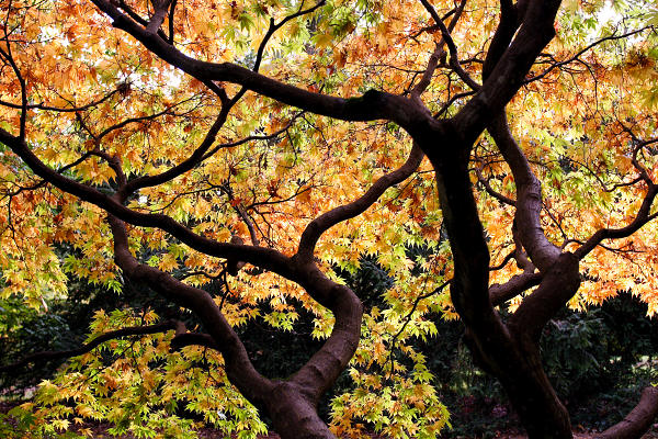 25mm 1/60sec f5 -1/3 stop (ISO 200)