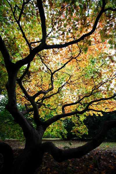 10mm 1/125sec f3.5 +1/3 stop (ISO 800)