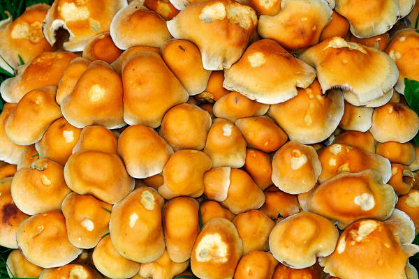 85mm 1/160sec f5  flash on (ISO 400)