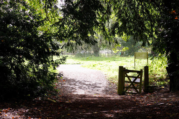 85mm 1/400sec f4.5 +2/3 stop (ISO 400)