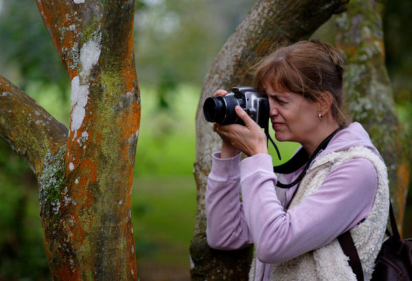 85mm 1/500sec f1.8 -1/3 stop (ISO 200)