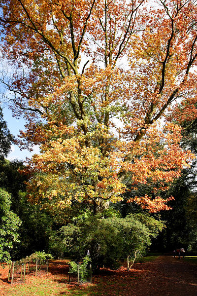 17mm 1/800sec f6.3  (ISO 400)