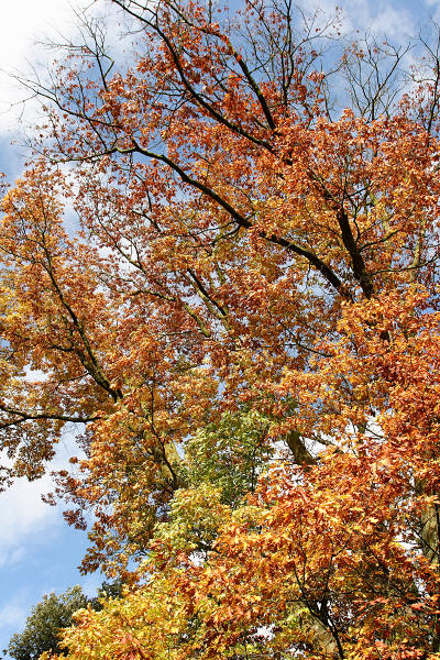 17mm 1/640sec f6.3 +2/3 stop (ISO 400)