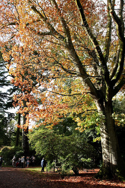 17mm 1/800sec f6.3  (ISO 400)