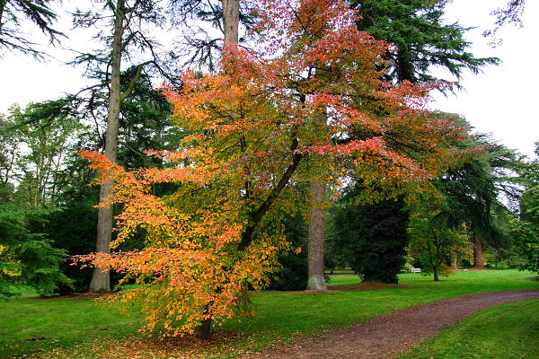 17mm 1/250sec f4  (ISO 400)