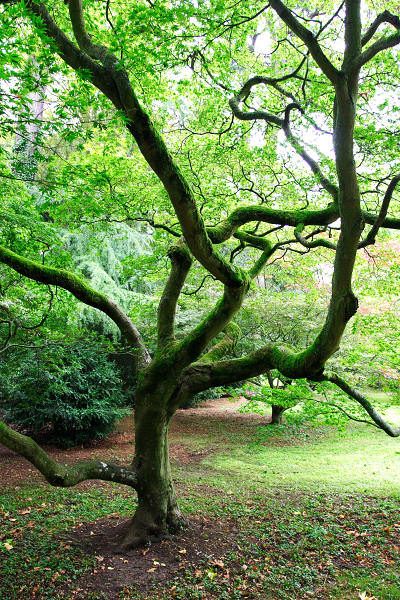 17mm 1/30sec f4  (ISO 800)