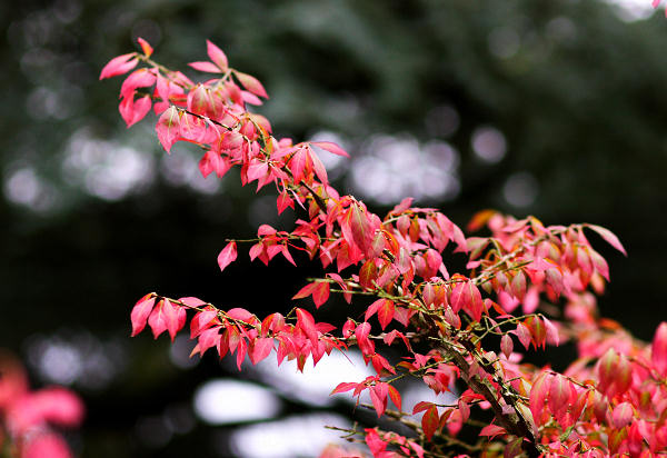 85mm 1/320sec f2.2  (ISO 400)