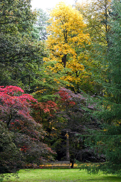 85mm 1/125sec f7.1 -1/3 stop (ISO 800)