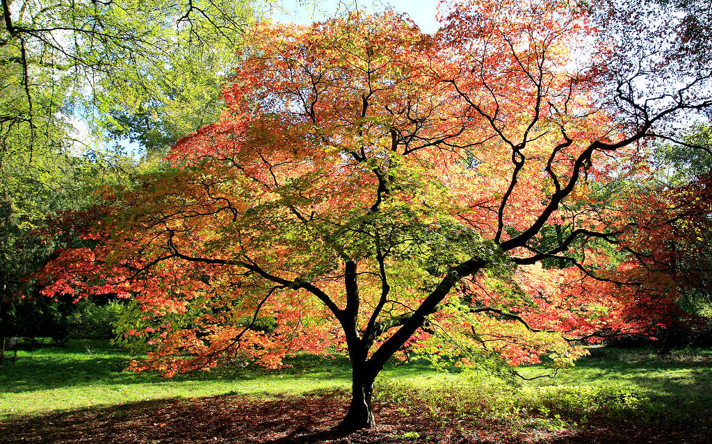 17mm 1/125sec f8 -1/3 stop (ISO 200)