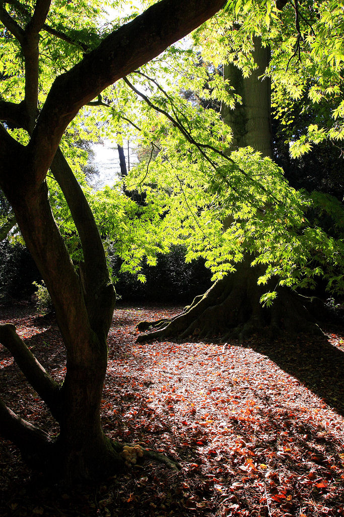 17mm 1/100sec f7.1 -1/3 stop (ISO 200)