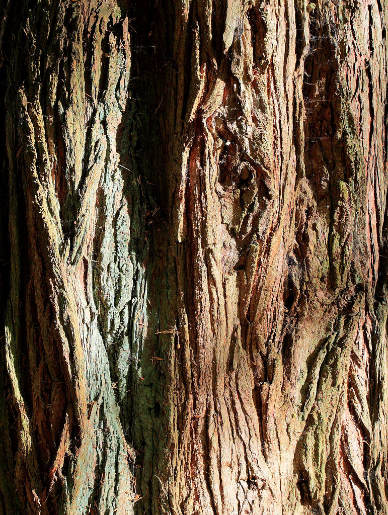 32mm 1/80sec f6.3 -1/3 stop (ISO 200)