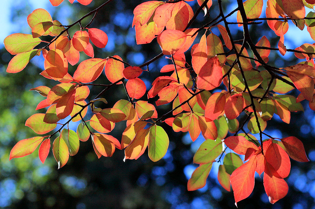 85mm 1/640sec f5 -1 stop (ISO 200)