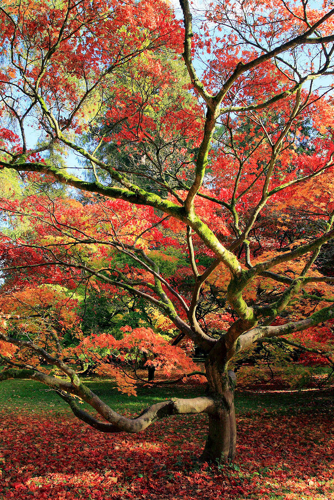 17mm 1/100sec f7.1 -1 stop (ISO 200)