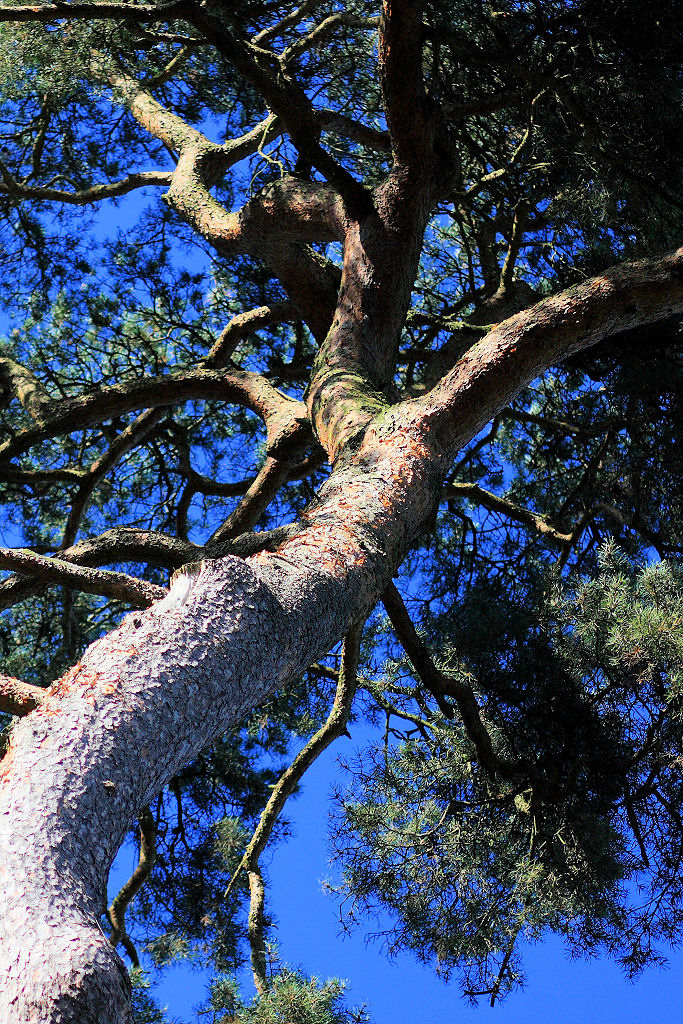 85mm 1/3200sec f2.2 -1 stop (ISO 200)